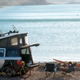 Illustration for article titled A Honda Element Camper For The Elements